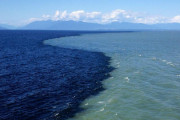 海と川が混ざり合う、神秘的風景「ここ泳げるのかな…？」（動画あり）【海外の反応】