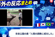 【海外の反応】奈良公園の鹿「人間の調教に成功した」