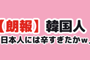 【朗報】韓国人「日本人が韓国のちゃんぽんを食べた結果ｗ」