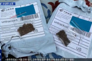 韓国人「中国の生物・化学戦争？」中国から届くあやしい『種』…日本・米国で緊張が走る