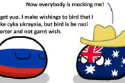 【ロシア-オージー】鳥が嫌いな国達【ポーランドボール】