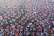 アメリカ「ヨーロッパ人はこの街並みを見て困惑するらしいな」
