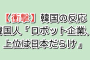 【衝撃】韓国人「産業用ロボットの世界シェアを調べたら、上位5社中4社が日本企業だった」