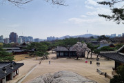 【海外の反応】イギリス人「日本と韓国と台湾を旅行してきたので写真を貼っていく」