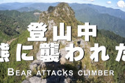 外国人「山登り中にクマに襲われた日本人は武道の心得があったんだな・・・」