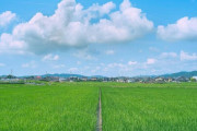 韓国人「息をのむ美しさ！ “日本の夏の風景写真” がこちらです……！」