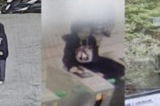 北漢山で失踪した50代女性が28日後に遺体で発見、韓国では一人登山への不安と追悼の声