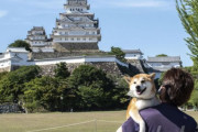 「日本人7000ウォン・外国人4万ウォン」…日本の姫路城の二重価格議論＝韓国の反応