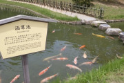 外国人「来日3年間で40都道府県を旅行したので写真を見せていく！」
