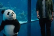 中国人「日本人の水族館の感想に心から同意」　中国人「私もこれしか思ってなかった」「メロンパン」