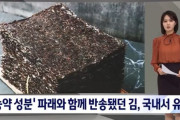 【悲報】韓国人「韓国産海苔に農薬成分‥」フランスから返品された『毒海苔』が国内流通していた事が判明‥→「もう海苔は食べられない（ﾌﾞﾙﾌﾞﾙ」　韓国の反応