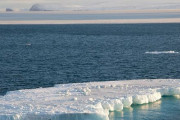 海外「記録的な熱波でアラスカの海氷が完全に溶けて消えたようだ」