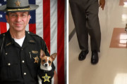 世界最小の警察犬、信頼したパートナーを亡くした悲しみで、共に死す