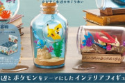 海外「OK！超イケてるじゃん！なんてこった…また財布が…」新しいブラインドボックスのポケモンセットが発売（海外の反応）