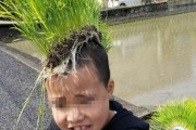 外国人「最高にカオスな帽子を被ってる奴を見せていくｗｗｗｗ」