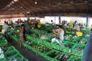 海外「日本の安い野菜や果物について教えて欲しい」日本の野菜、果物事情に対する海外の反応
