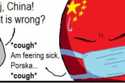【北朝鮮】治療法【ポーランドボール】