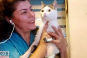 車に轢かれて足を3本失った野良猫に義足をプレゼント！（ギリシャ）