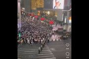 【海外の反応】中国の人の流れの制御方法　海外の反応「文字通りの門番、なぜ歩道橋やトンネルを作らないのか」