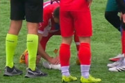 サッカーボールと激突したカモメ、試合は一時中断、選手が心肺蘇生を施し息を吹き返す