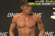 韓国人「在日韓国人4世・秋山成勲の今後を考えると、そろそろ引退すべきだと思うんだが……」