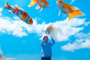 【韓国の反応】「空飛ぶ金魚」…日本人作家撮影サムスンフリップ4映像話題。韓国の反応「本当に見た中で最高の広告。/アニメの国らしい感性。」