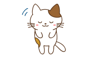 タイ人「日本は猫でさえ礼儀正しい」「ちゃんと列を作って並んでるように見える！」【タイ人の反応】