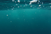 海外「また値段があがるの？」日本で起きている深刻な不漁に海外大騒ぎ！（海外の反応）