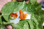 韓国人「日本も刺身をサンチュで包んで食べるんですか？」「分かり切った質問はやめてください」