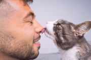 【海外】猫が私を舐めたと思ったら、突然噛む理由とは？全ての猫オーナーに贈る解説！