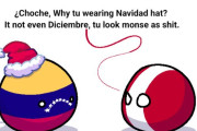 【世界】一足早いクリスマス【ポーランドボール】