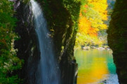 【韓国の反応】旅行を解禁した日本、最も多く訪れた外国人は韓国人