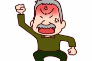 日本でこのNPCが怒ってるぞ　“アメリカで怒ってたらと想像してみな…”　【海外の反応】