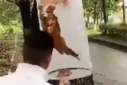 これは凄い！風景に溶け込んだ絵がガチ過ぎると海外で話題に