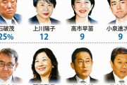 韓国人「日本の次期首相支持率をご覧ください」→「東アジア全体が駄目だ‥」　韓国の反応