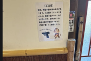 【海外の反応】日本が北欧スカンジナビア人を差別している…