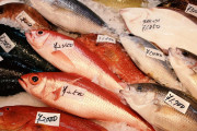 海外「日本に居たらすぐ太ってしまいそう(笑)」鮮魚市場を体験
