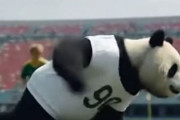 中国人「サッカー女子アジア杯、日本代表選手が優勝後に欧州に戻ったらこうなった」　中国人「最高の待遇」「これは嬉しいだろうな」