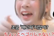 【悲報】日本語が韓国語化‥日本人でも日本語が理解出来ないレベルに‥　韓国の反応