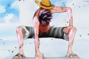 外国人「これがフランスの平均的なONE PIECEファンの姿」（海外の反応）