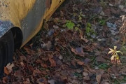 アメリカにある日本車の墓場に全米騒然！←「悲しい」（海外の反応）