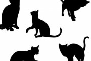 外国人「うちのポンコツな猫たちを腕に彫ってみた…気に入ってる」脱力系のタトゥー