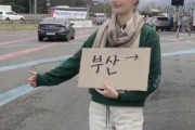 韓国人「外国人観光客が『韓国の桜は余り綺麗ではない』『韓国ではヒッチハイクで誰も乗せてくれない』と発言し大炎上！」　韓国の反応