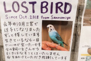 【中国の反応】『探しています』張り紙に中国人「同情しちゃう」