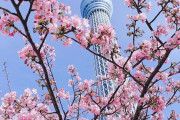 「また日本に行きたくなってきたよ」親日外国人が風景写真を愛でるスレ