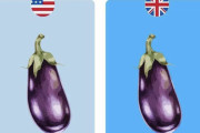 日本「こんな英語は初めて聞いた、イギリス人は本当に使ってるの？」