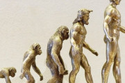 「現代人は悩みが多いけど、この基本を思い出すべき…」人類にプログラムされていること