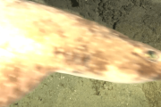 【海外】初めての瞬間！深海の「絵描きサメ」が生態映像で捉えられた驚きの映像