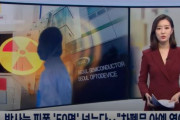 韓国人「ソウル半導体で放射能被爆者が50人を超える‥安全規定を無視して遮蔽門を閉めずに作業をしていた物と見られる」　韓国の反応