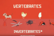 地球って虫の数多すぎない？ [TED-ED] 海外の反応